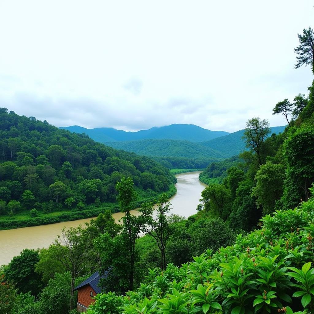 Scenic View from a Sabak Bernam Homestay