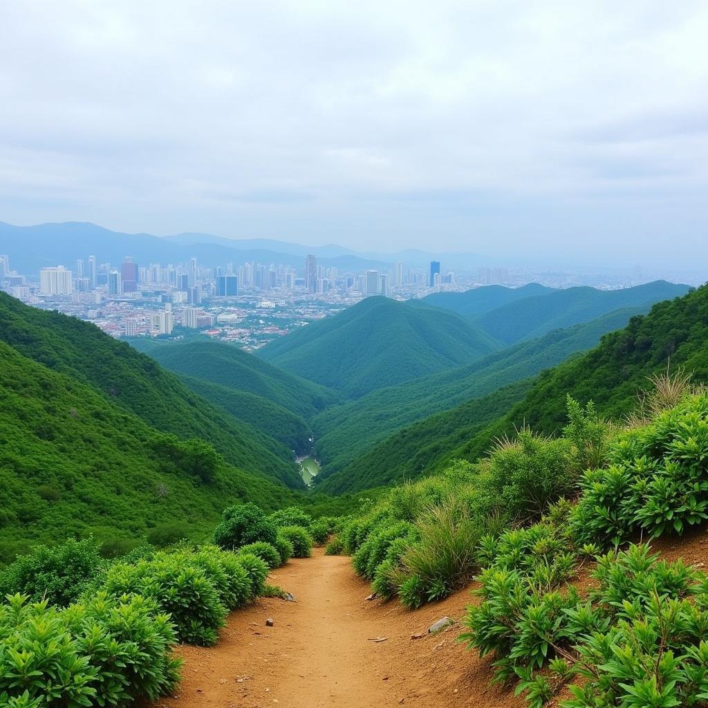 Panoramic view from Sóc Sơn mountain hiking trails, overlooking the vibrant green landscape.