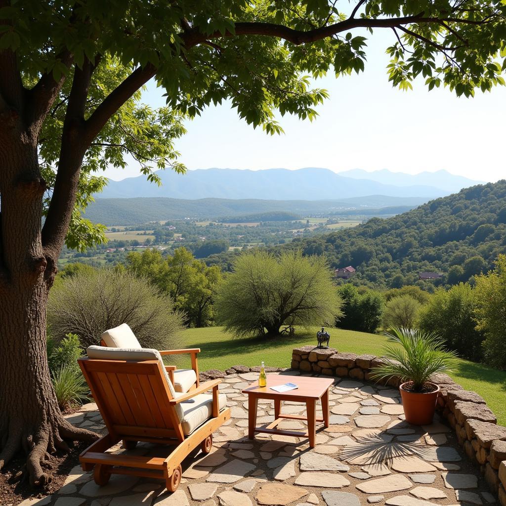 Relaxing View from a Spanish Countryside Homestay