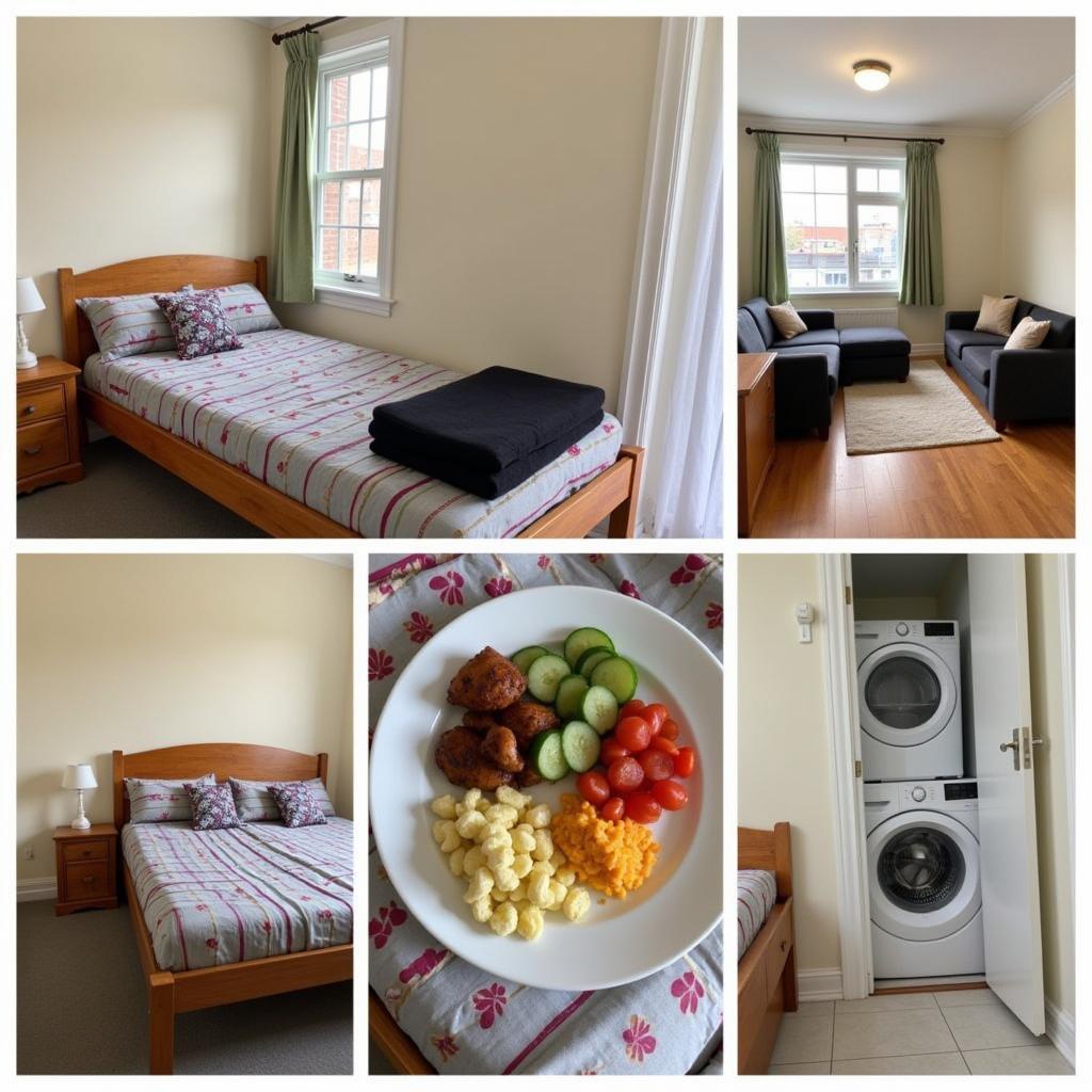 Sydney Homestay Amenities: Collage showcasing various amenities offered in Sydney homestays, including private rooms, shared living spaces, and meal examples.