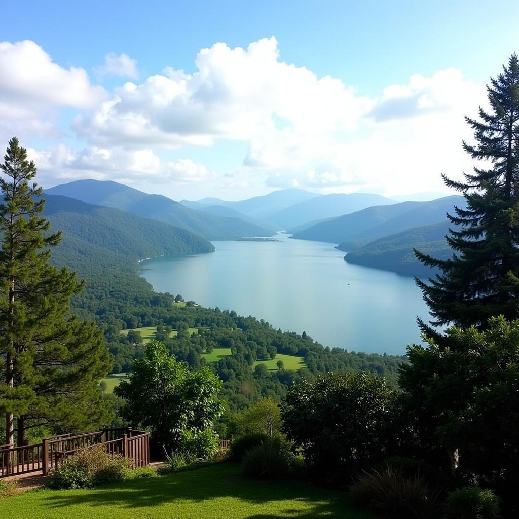 Serene Lake View from Ajith Homestay Yercaud