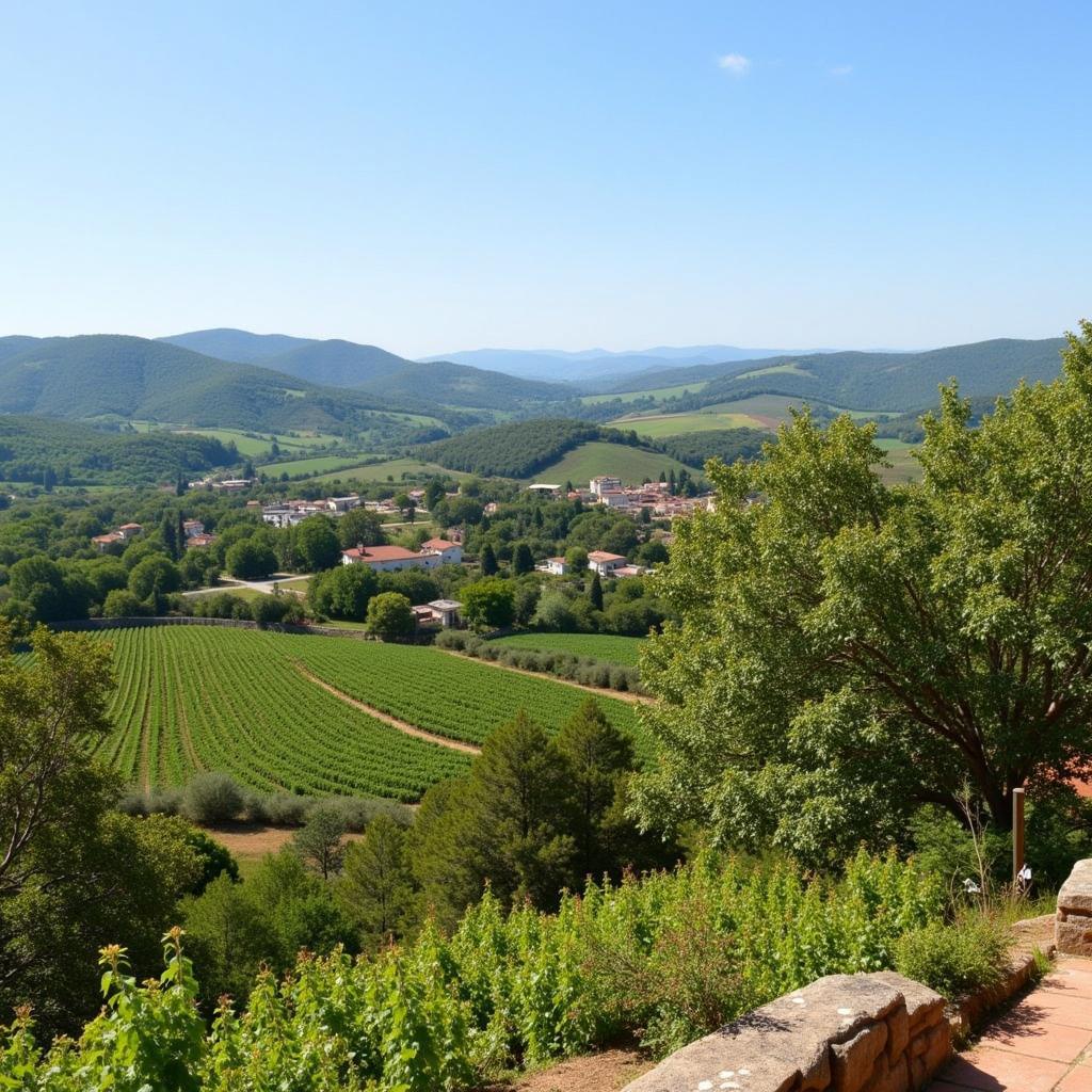 Exploring the Spanish Countryside from a Homestay