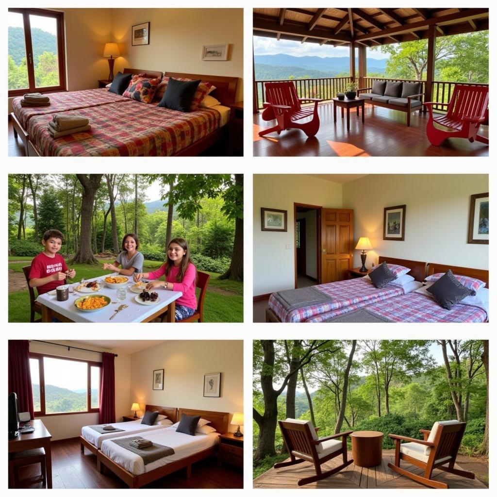 Budget-Friendly Homestays in Chikmagalur