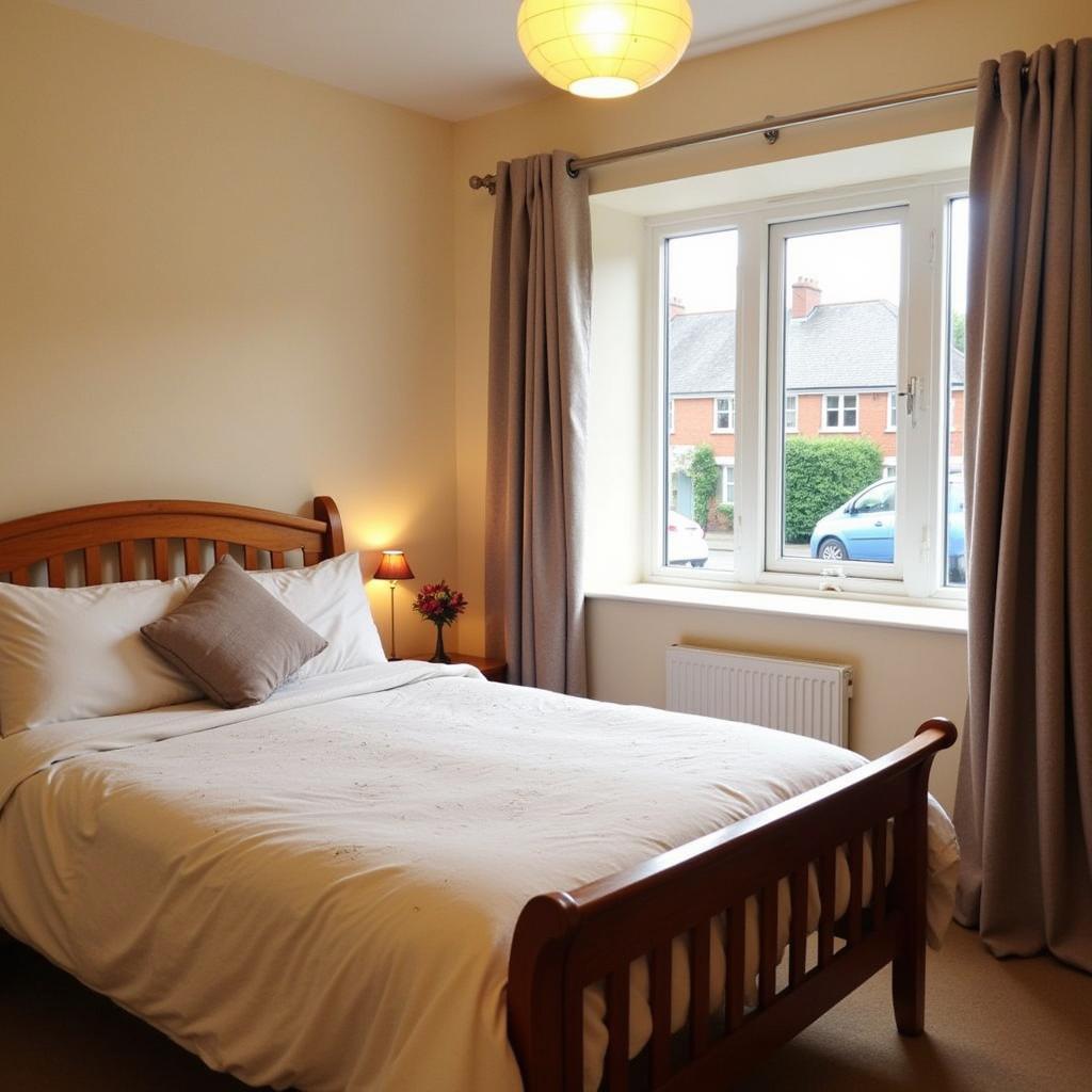 Budget Homestay Room in Dublin