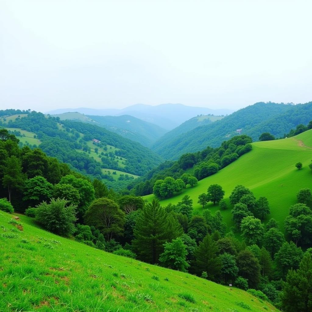 Scenic view of Byakaravalli in Sakleshpur