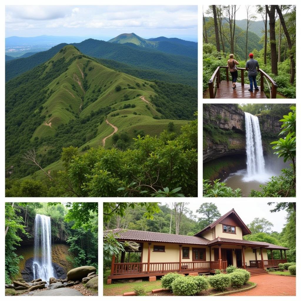 Chikmagalur Attractions near Gatikallu Homestay