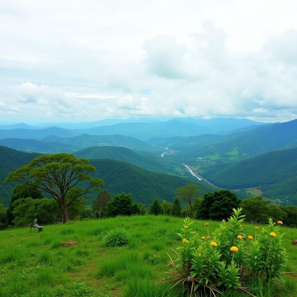 Chikmagalur Landscape from Devigiri Homestay