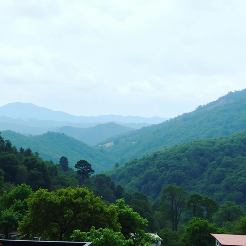 Scenic Views of the Western Ghats from Coffee Thota Homestay