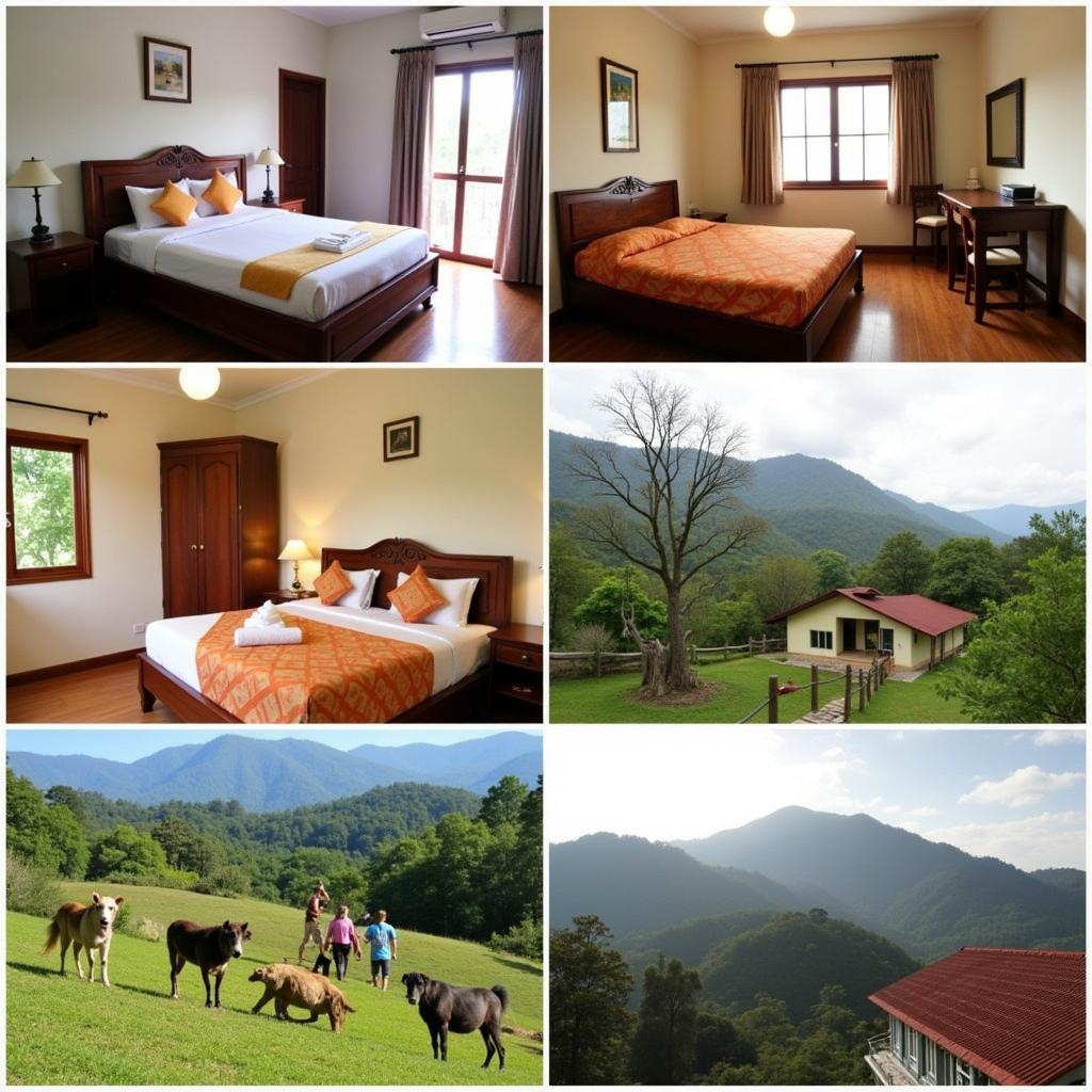 Budget-Friendly Homestay Options in Coorg