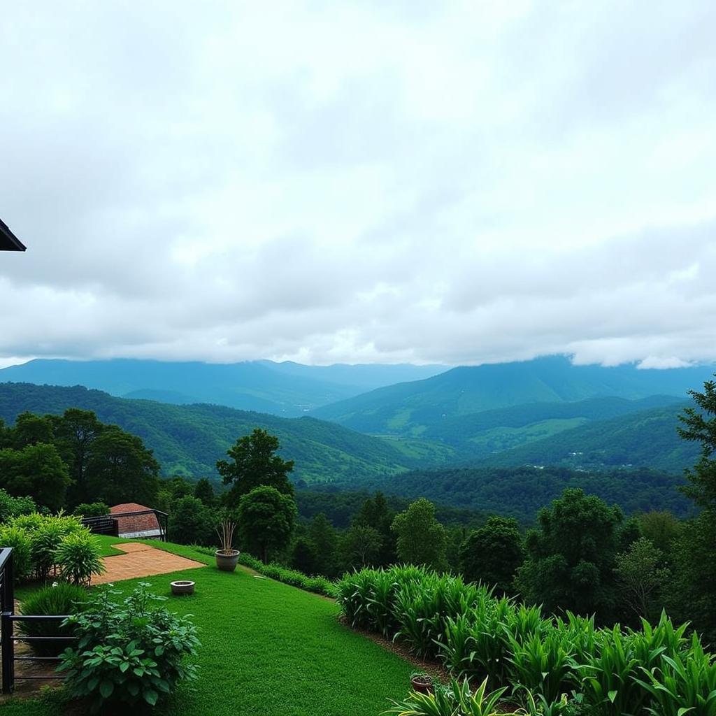 Scenic View from a Coorg Homestay