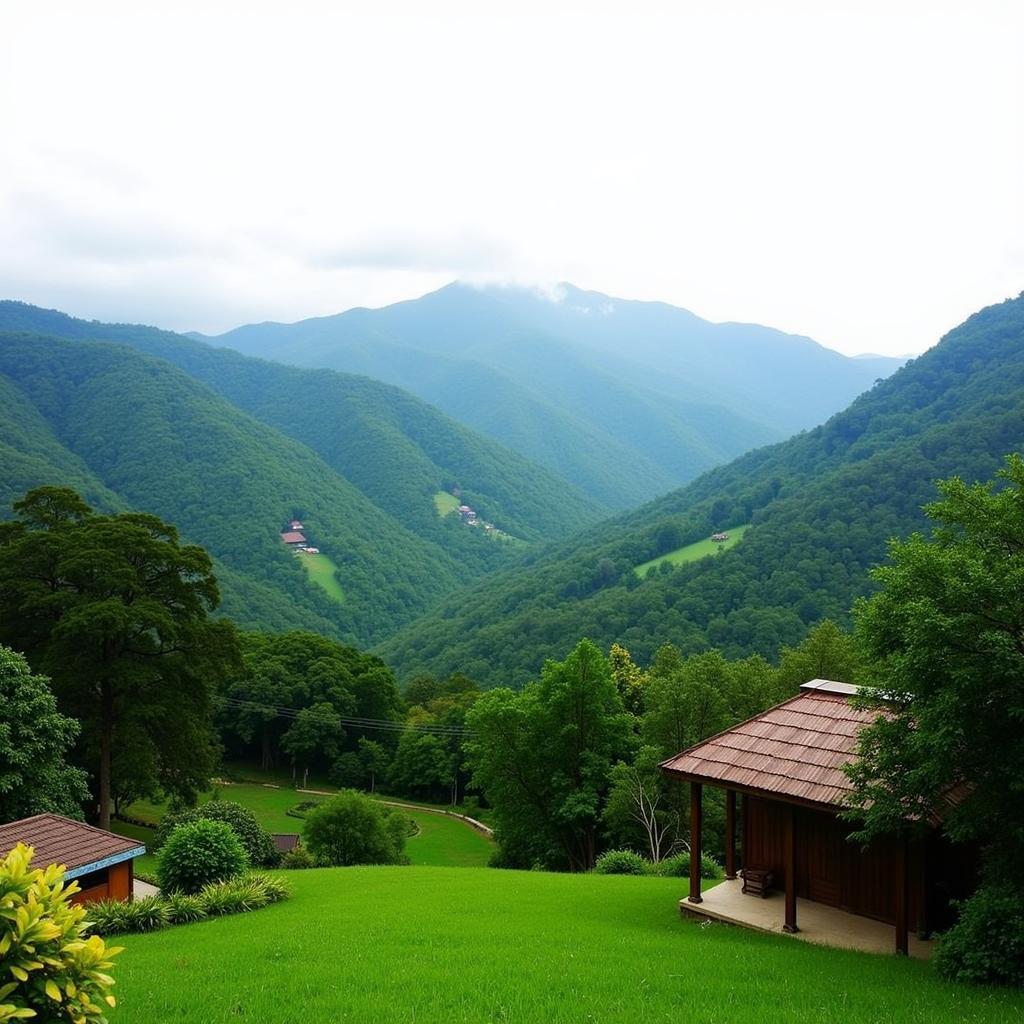 Scenic Mountain View from a Đà Lạt Homestay