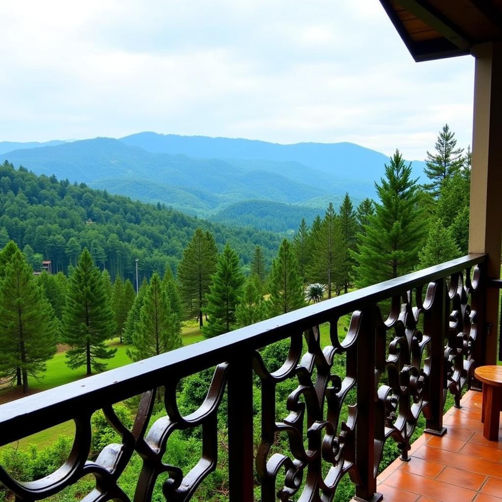 Stunning view from a Da Lat homestay balcony