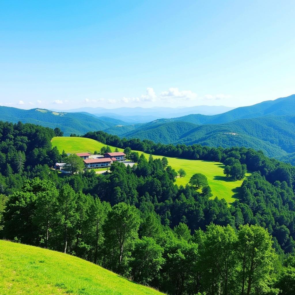 Breathtaking view from a Da Lat homestay