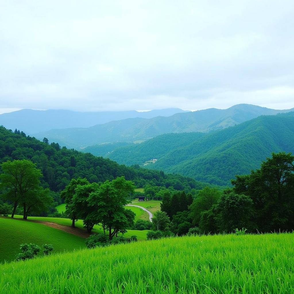 Scenic View of Damai Homestay Kuala Kubu Bharu