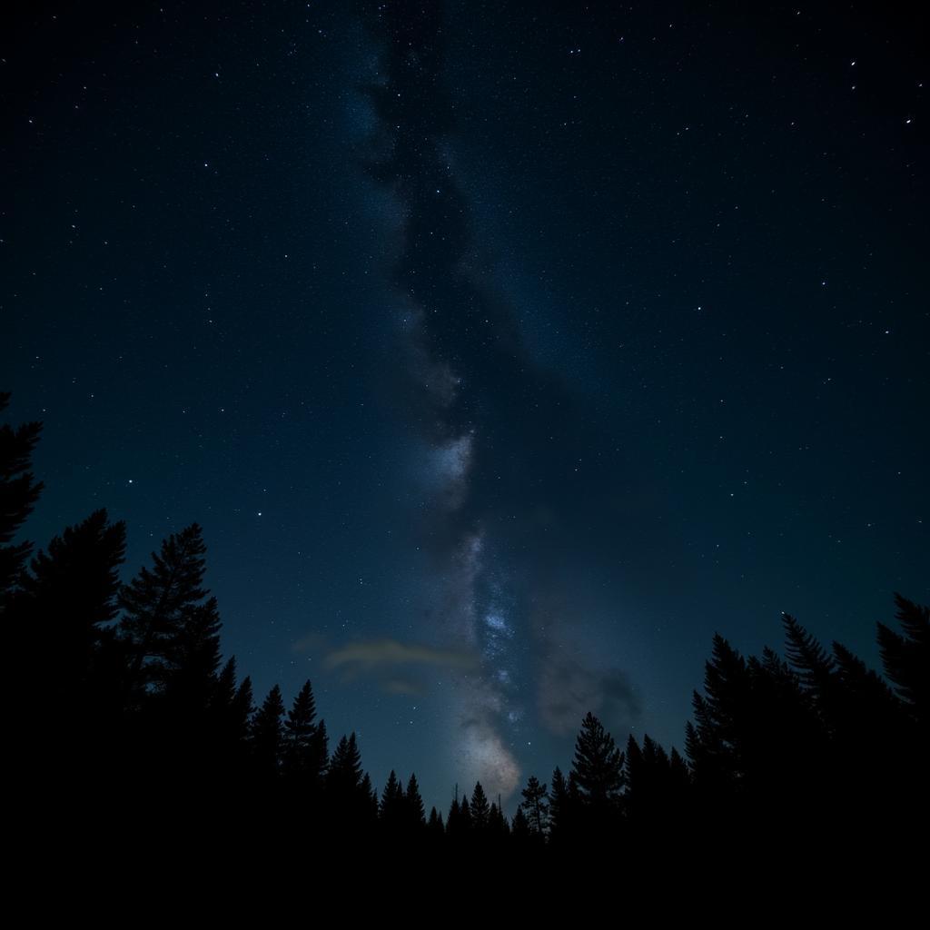 Starry night sky above a deep forest homestay in Spain. 