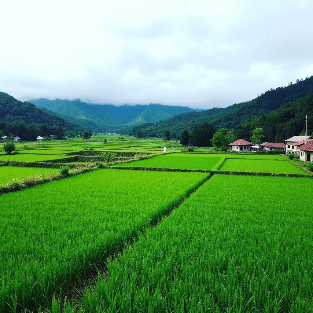 Exploring the Natural Beauty of Kampung Lonek