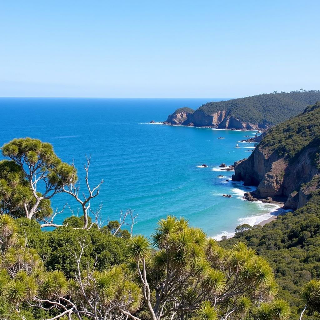 Scenic coastal view near a Geelong homestay