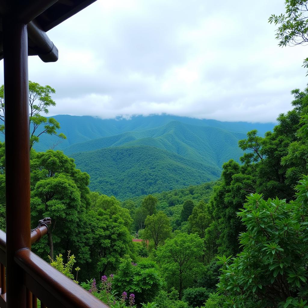 Panoramic view of lush greenery and rainforest surrounding a Kuching homestay, highlighting the proximity to Sarawak's natural wonders.