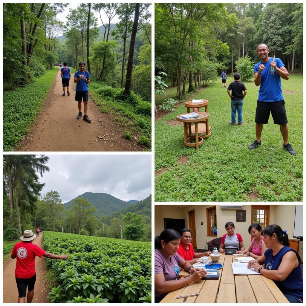 Activities near a Mandalpatti homestay