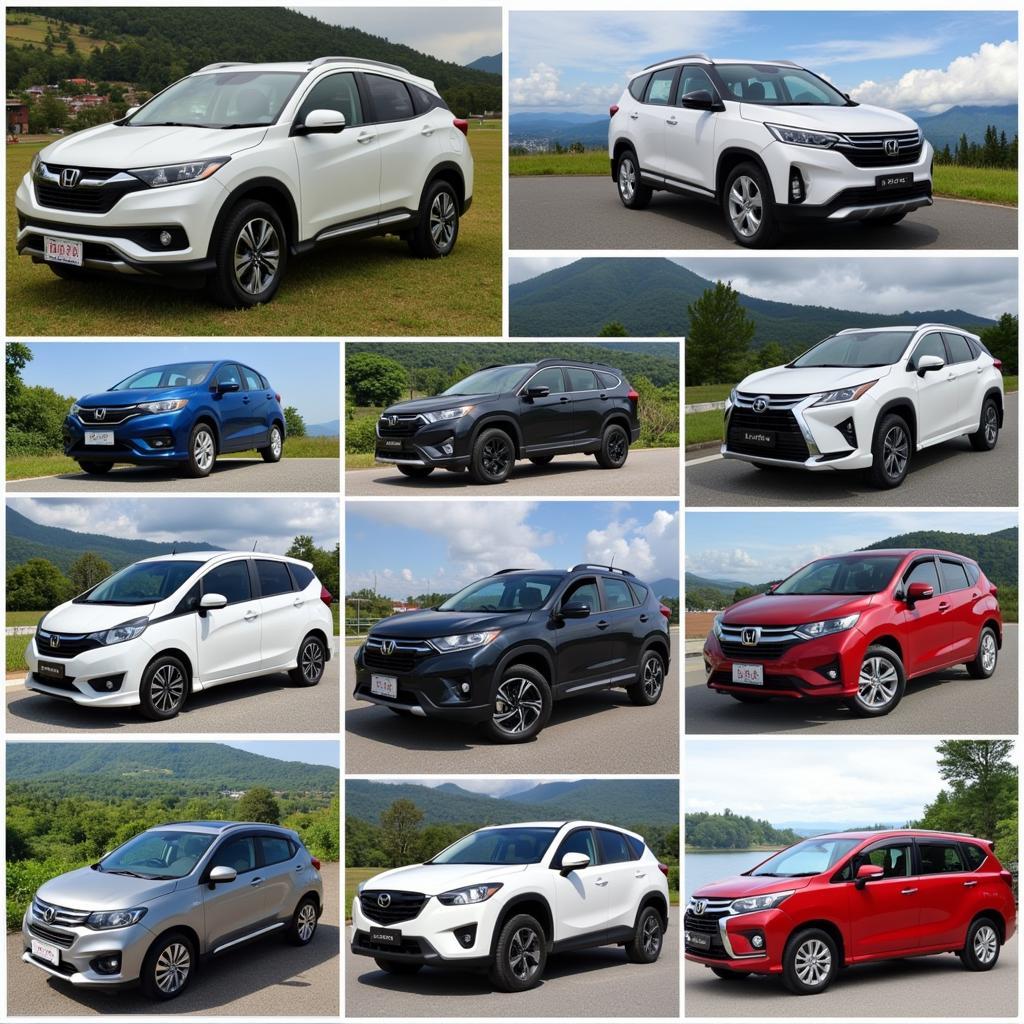 Various car rental options available in Kuching