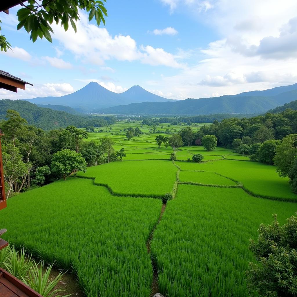 Scenic view from a Kulon Progo homestay balcony