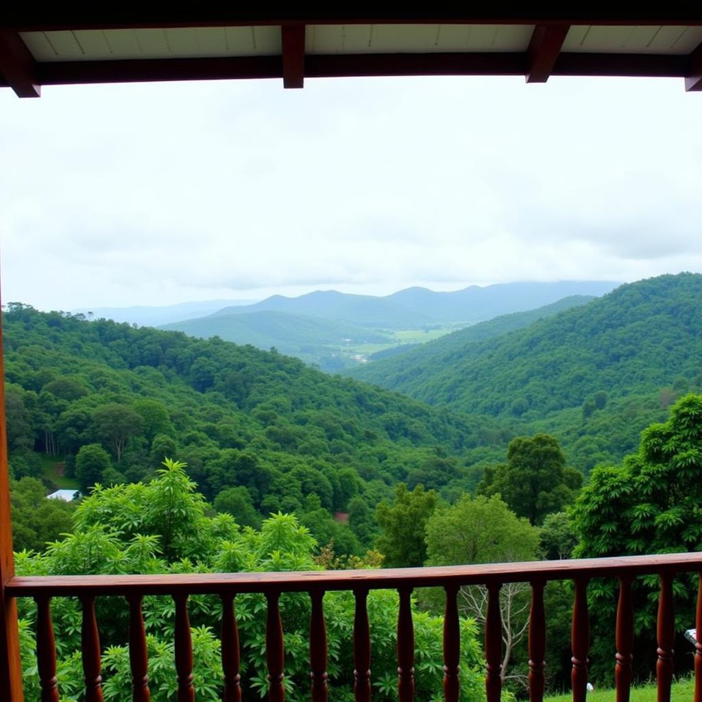 Scenic view from a homestay in Lakkidi Wayanad