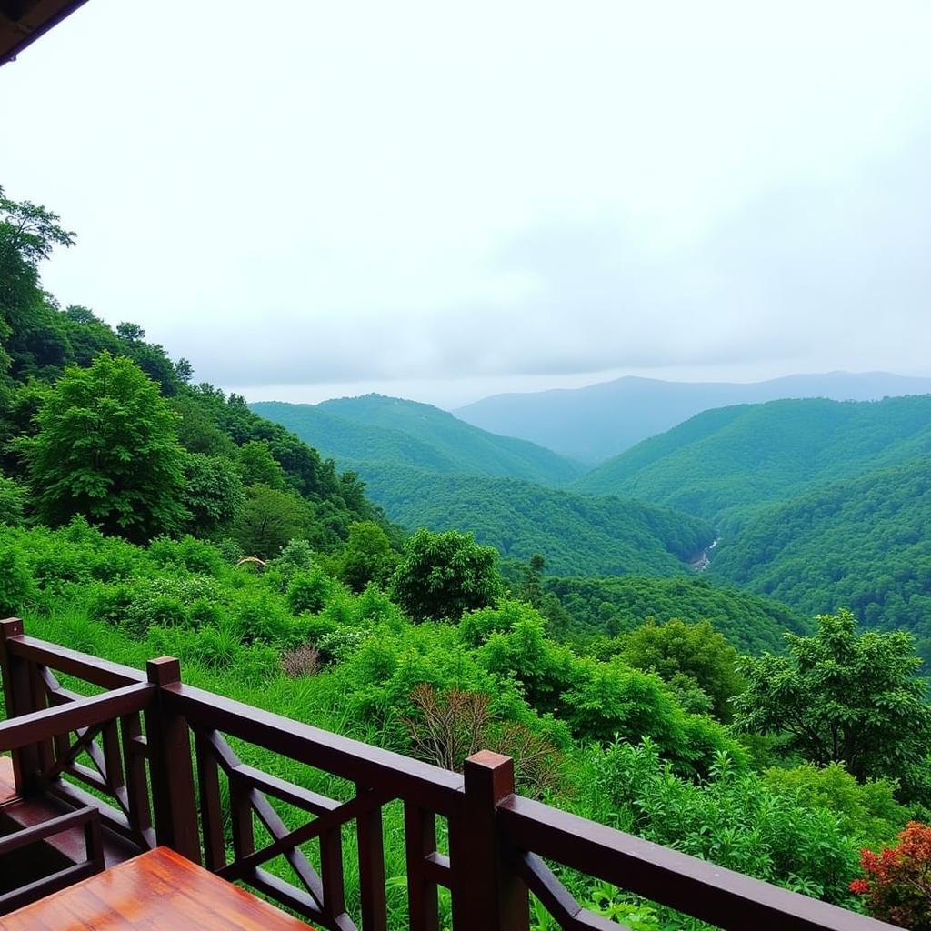 Scenic view of Lonavala hill station from a homestay balcony