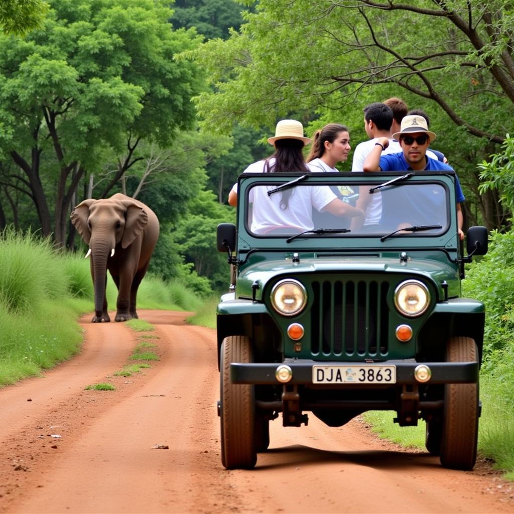 A jeep safari exploring the diverse wildlife of Nagarhole National Park.