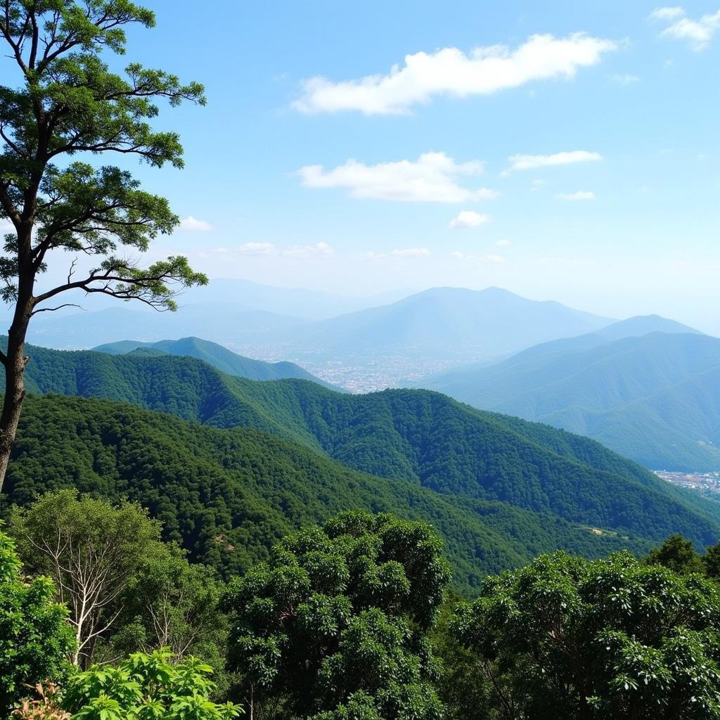 Scenic View of Penang Hill