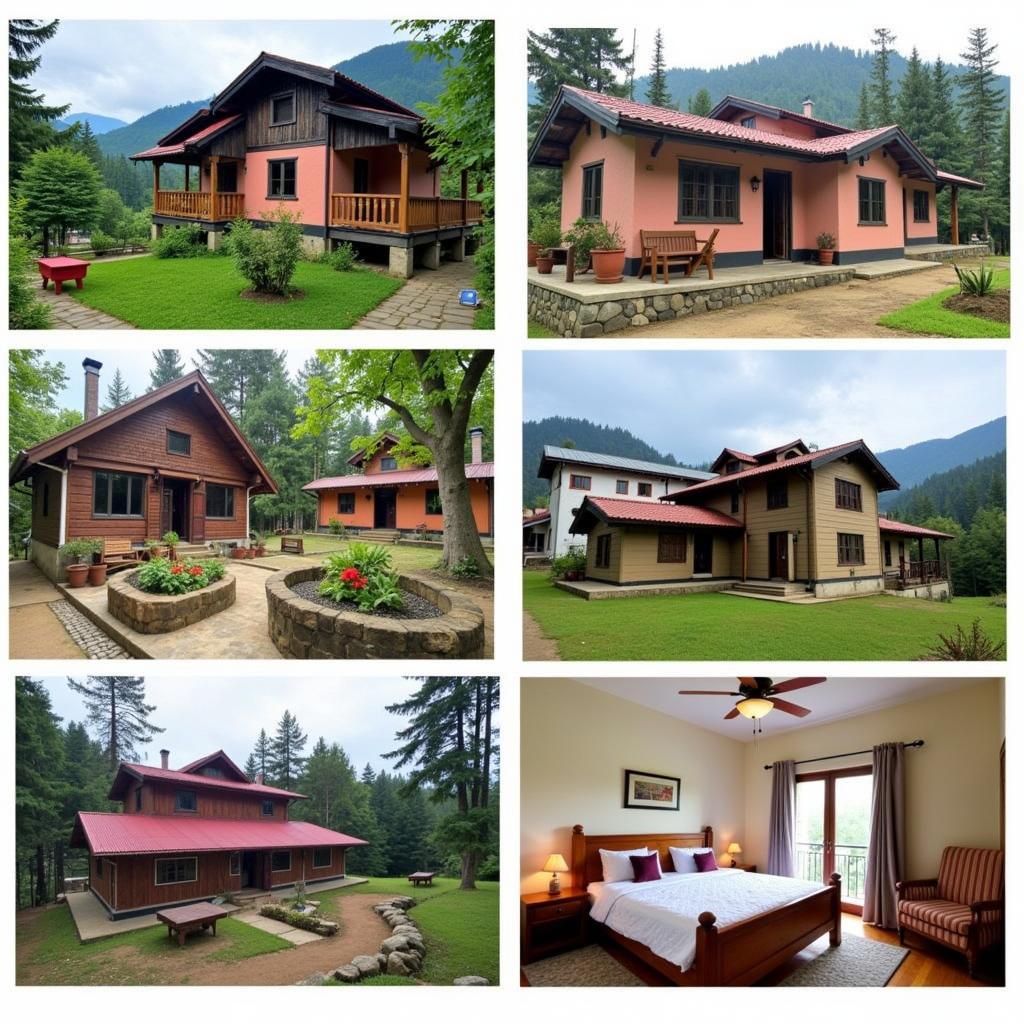 Variety of Sikkim Homestay Options