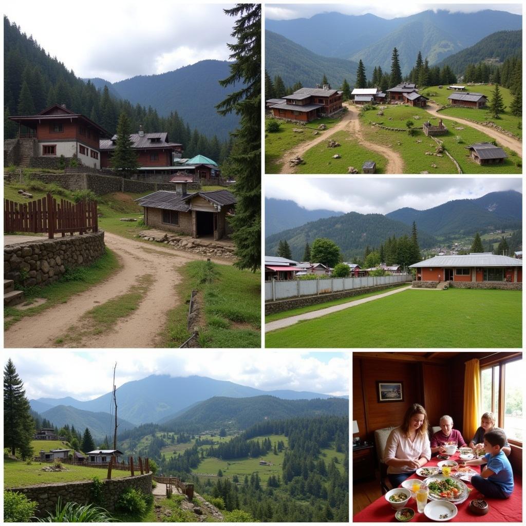 Sikkim Homestays Diversity