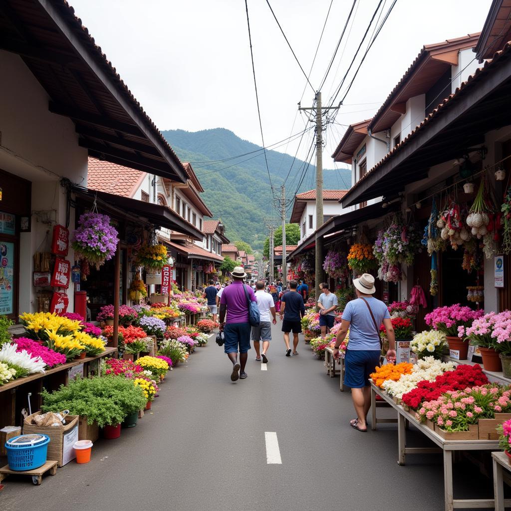 Bustling Market in Tanah Rata Town Center