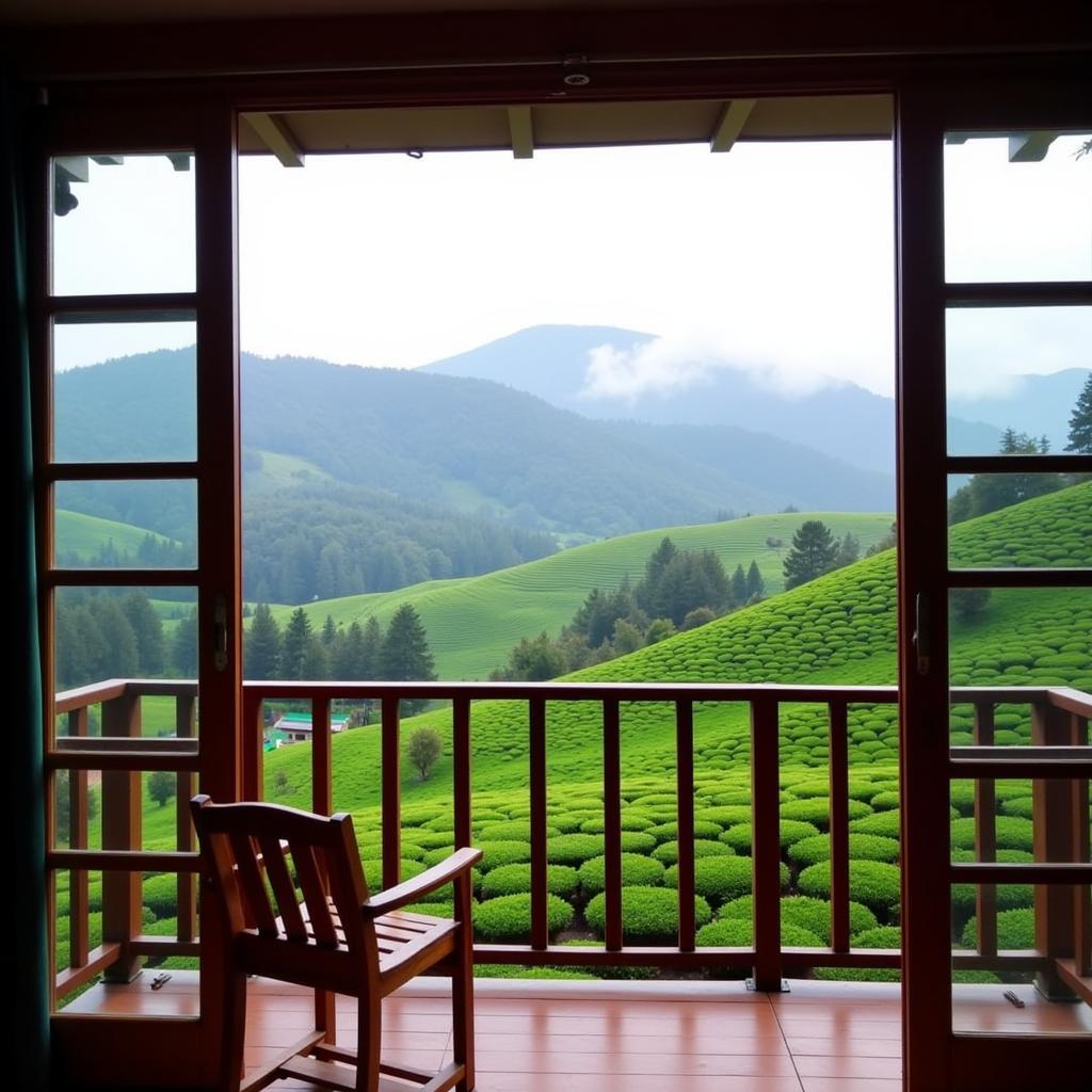 Scenic view from a homestay in Top Station Munnar