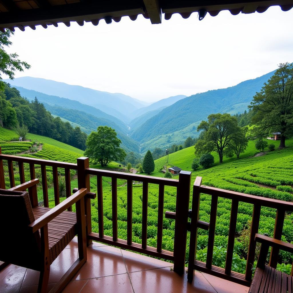 Scenic view from a Virajpet homestay balcony